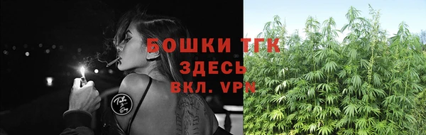 PSILOCYBIN Дмитров