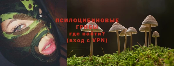 ПСИЛОЦИБИНОВЫЕ ГРИБЫ Гусь-Хрустальный