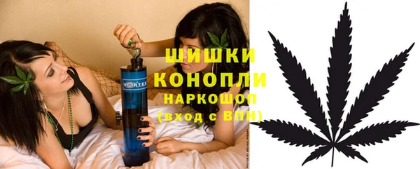 стаф Гусев
