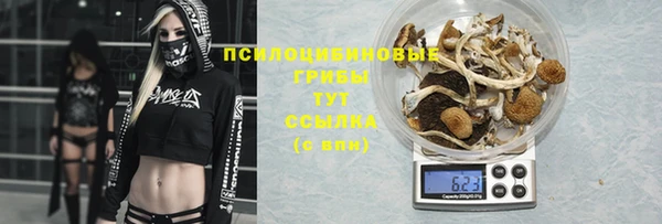 герыч Сафоново