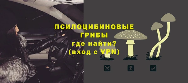 экстази Дмитриев