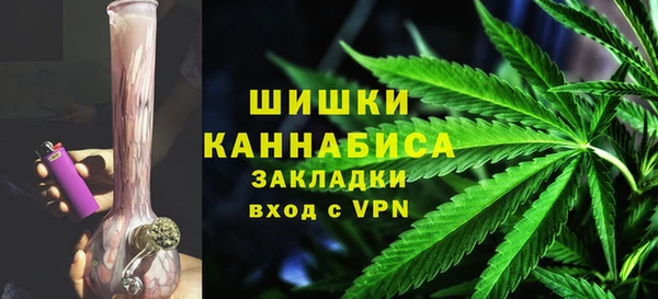 ПСИЛОЦИБИНОВЫЕ ГРИБЫ Гусь-Хрустальный