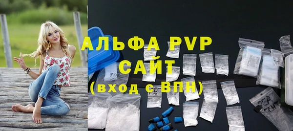 ПСИЛОЦИБИНОВЫЕ ГРИБЫ Гусь-Хрустальный