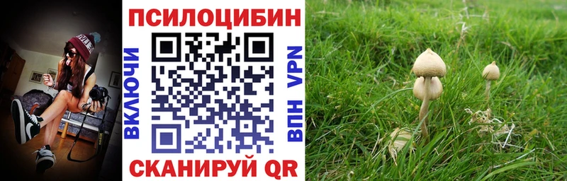 Галлюциногенные грибы MAGIC MUSHROOMS  купить  сайты  Заволжск 